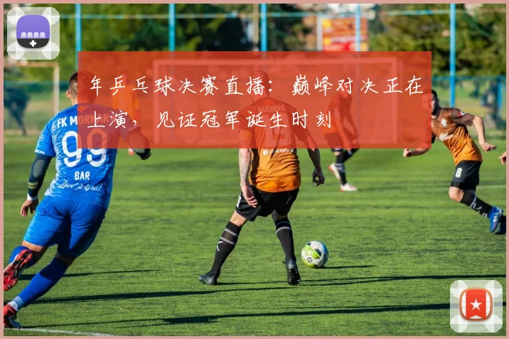 年乒乓球决赛直播:巅峰对决正在上演,见证冠军诞生时刻