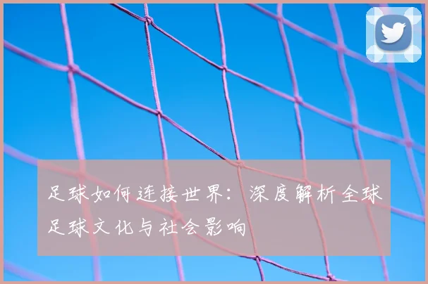 足球如何连接世界:深度解析全球足球文化与社会影响